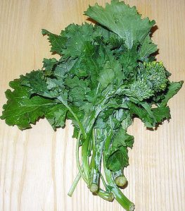 Broccoli Rabe also called Rapini