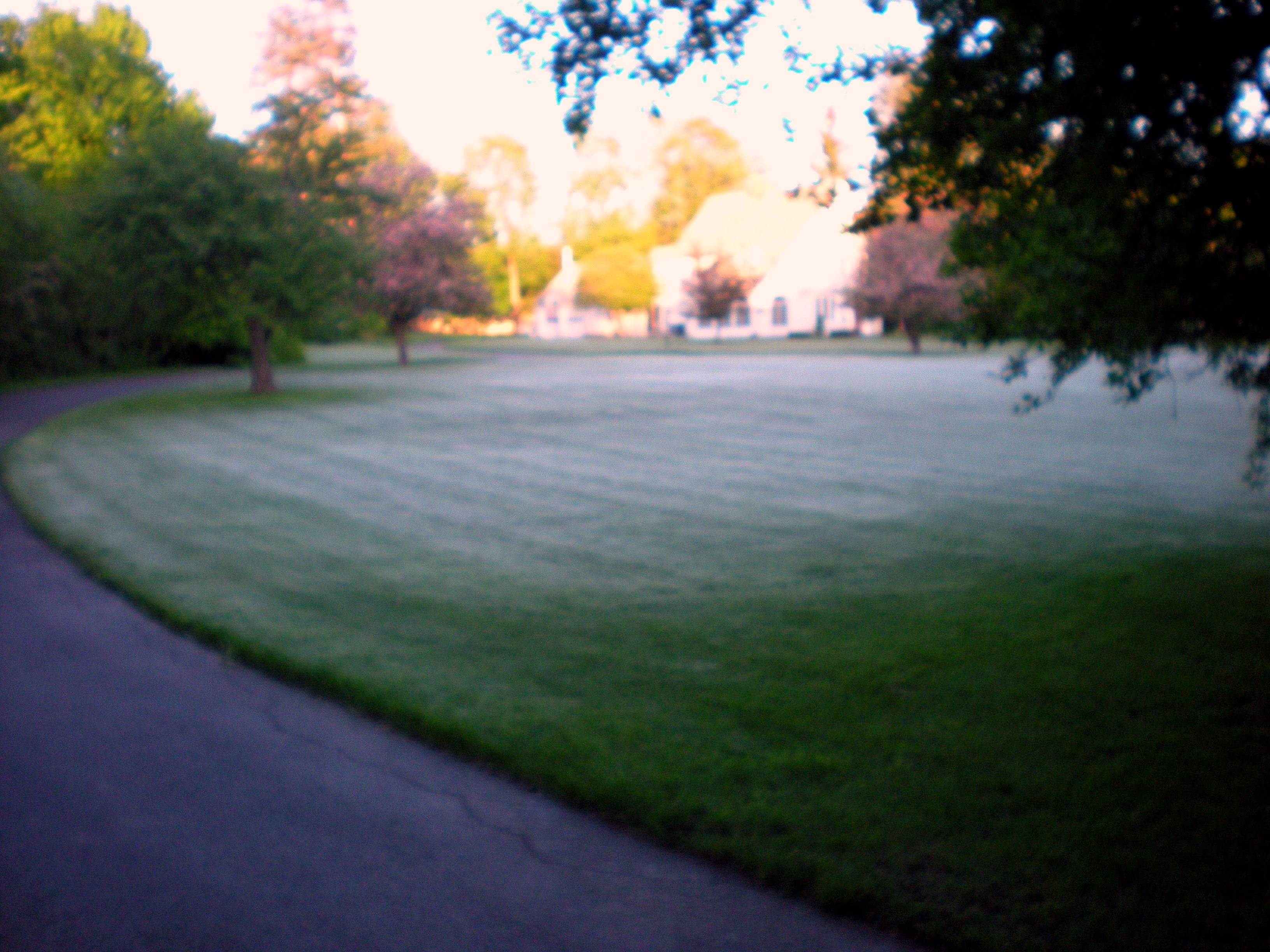On a cold morning, 34 degrees, frost was all over the lawns