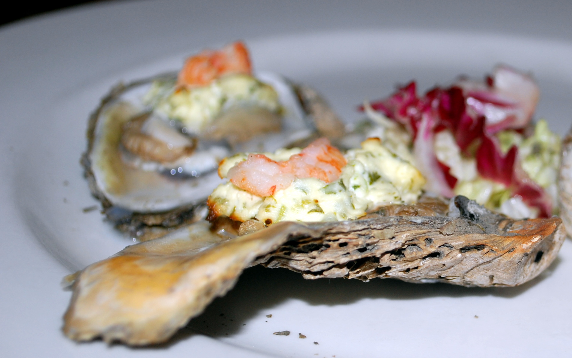 Shared appetizer: Baked Oysters Langastino. 4 oysters with baby lobster tail and boursin cheese
